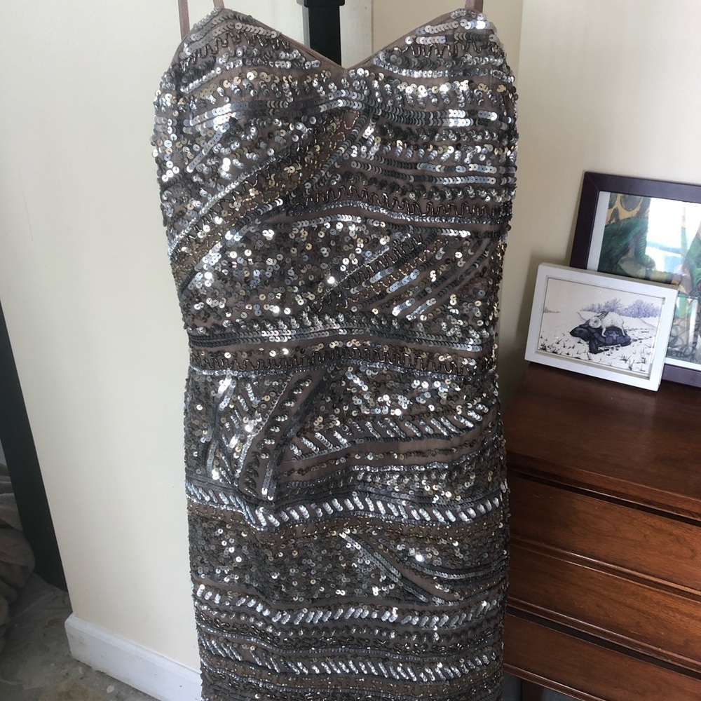 Gorgeous Sequined Scala Dress
